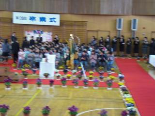 2009-03-19 11:15:08