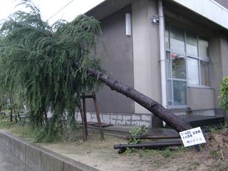 2009-10-08 07:39:18