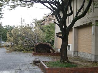 2009-10-08 07:39:44