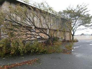 2009-10-08 07:40:13