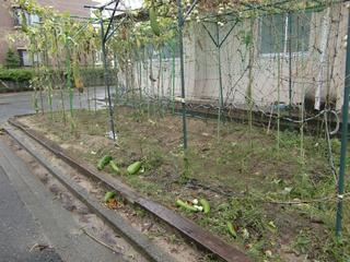 2009-10-08 07:41:37