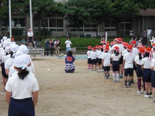 2009-05-30 09:01:05