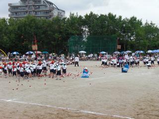 2008-05-30 10:05:17
