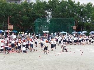 2008-05-30 10:09:37