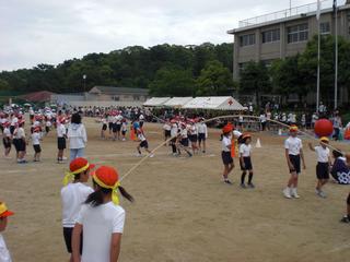 2008-05-30 10:36:29