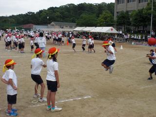 2008-05-30 10:36:41
