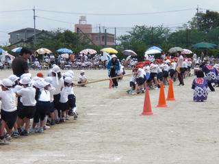 2008-05-30 10:58:06