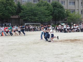 2008-05-30 11:24:15