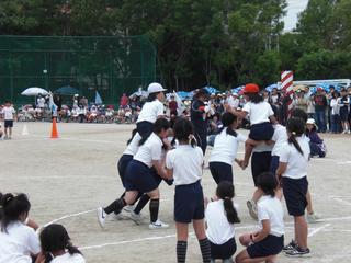 2008-05-30 12:31:17