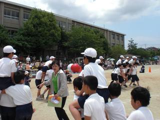 2008-05-30 12:33:29