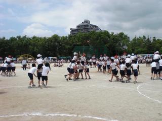 2008-05-30 12:33:36