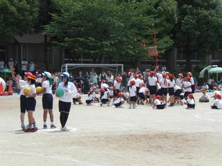 2008-05-30 12:59:37