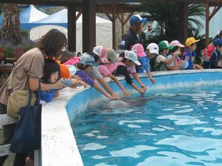 2010-10-19 11:30:32