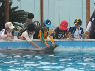 2010-10-19 11:42:24