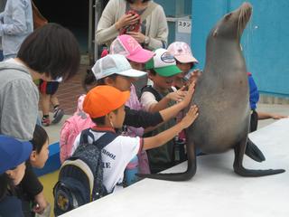 2010-10-19 11:25:23