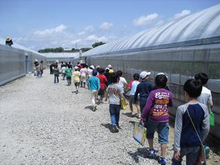 2010-05-06 11:26:09