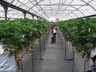 2010-05-06 11:28:32