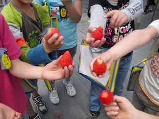 2010-05-06 11:28:43