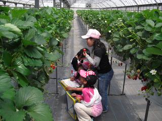 2010-05-06 11:32:04