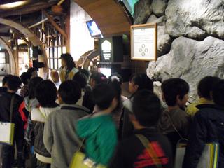 2010-11-18 10:03:46