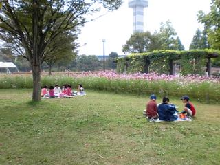 2010-10-19 11:17:35