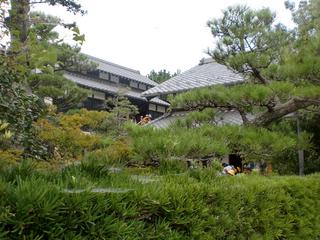2010-10-19 11:06:52