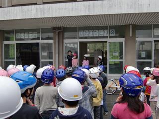 2010-04-28 08:50:03