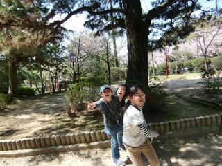 2010-04-08 11:17:32