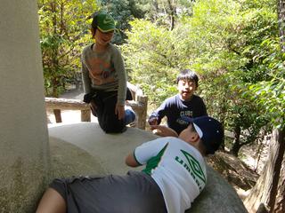 2010-04-08 11:19:29