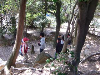 2010-04-08 11:20:19