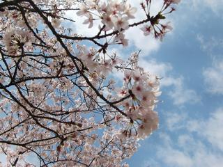 2010-04-08 11:39:31