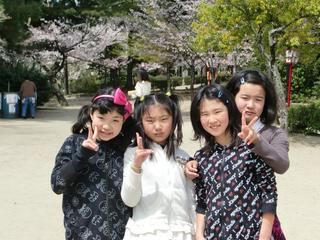 2010-04-08 11:41:29