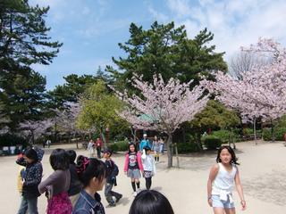 2010-04-08 11:42:21