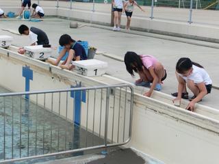 2010-06-09 11:05:20