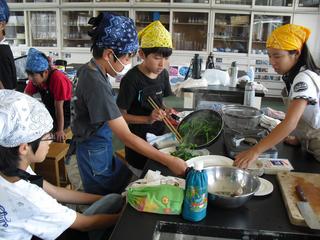2010-07-08 11:05:46