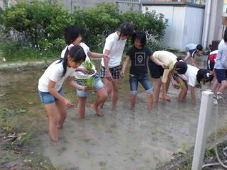 2010-05-13 15:52:50