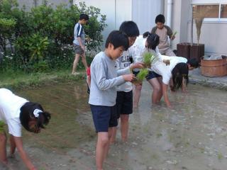 2010-05-14 17:36:59