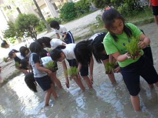 2010-05-13 15:59:42