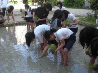 2010-05-13 15:59:47