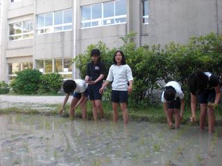 2010-05-13 16:03:02
