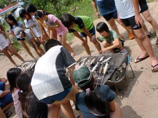 2010-07-28 11:27:18