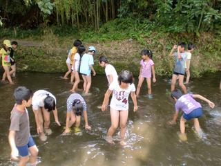2010-07-28 11:00:51
