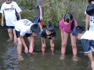2010-07-28 11:09:30