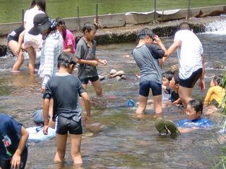 2010-07-28 12:28:25