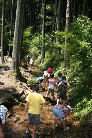2010-07-27 12:22:48