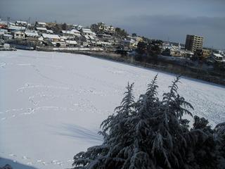 2011-01-17 08:45:27