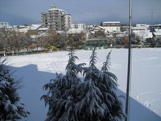 2011-01-17 08:45:35