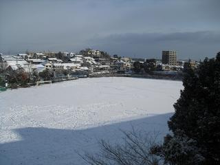 2011-01-17 08:46:28
