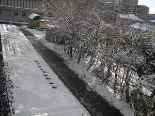 2011-01-17 08:48:07