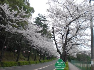 2009-04-05 10:38:32